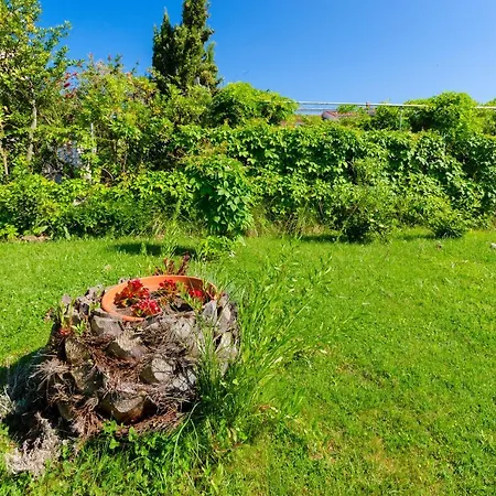Ruzica M Apartment Lopar